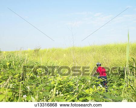 Stock Photo - Boy biking in field of flowers. Fotosearch