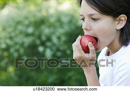 Boy eating an apple outdoors View Large Photo Image Stock Image - Boy eating an apple outdoors. Fotosearch
