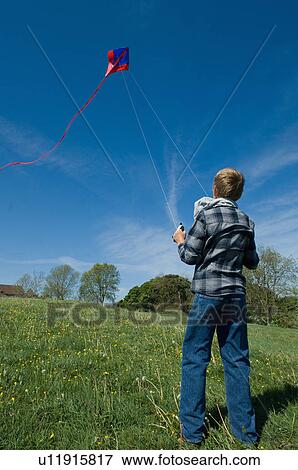 Boy flying a kite in field View Large Photo Image Stock Photo - Boy flying a kite in field. Fotosearch