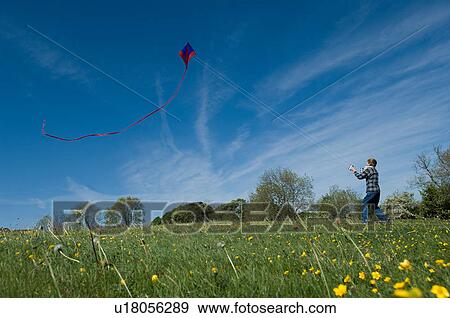 Stock Photo - Boy flying a kite in field. Fotosearch