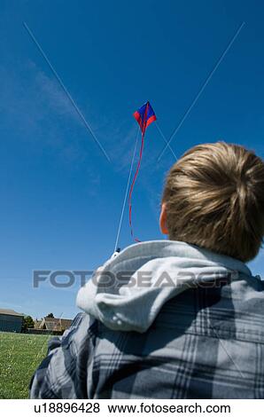 Boy flying a kite in field View Large Photo Image Stock Photo - Boy flying a kite in field. Fotosearch