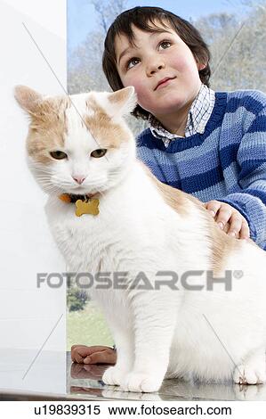 Boy petting his cat View Large Photo Image Stock Photography - Boy petting his cat. Fotosearch