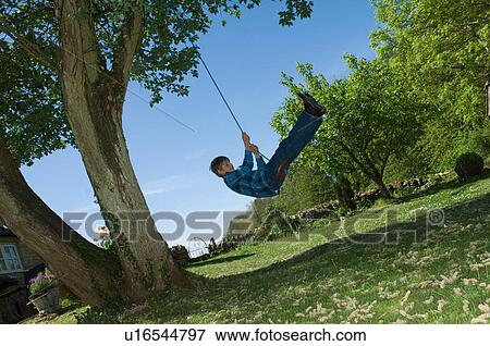 Boy playing on tree swing in backyard View Large Photo Image Stock Photo - Boy playing on tree swing in backyard. Fotosearch