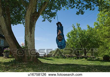 Stock Photograph - Boy playing on tree swing in backyard. Fotosearch