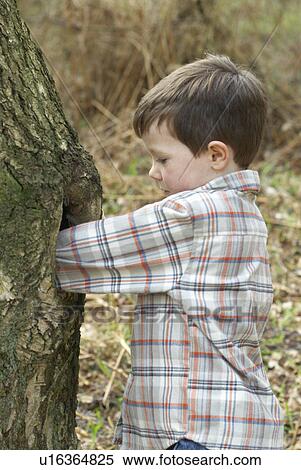 Boy reaching inside tree View Large Photo Image Stock Photography - Boy reaching inside tree. Fotosearch