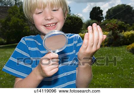 Boy using magnifying glass outdoors View Large Photo Image Stock Photograph - Boy using magnifying glass outdoors. Fotosearch