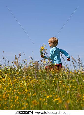 Boy walking in field of flowers View Large Photo Image Picture - Boy walking in field of flowers. Fotosearch