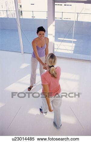 Businesswomen shaking hands in office View Large Photo Image Stock Photography - Businesswomen shaking hands in office. Fotosearch