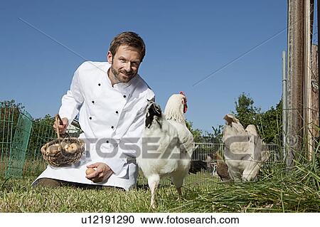 Chef feeding chickens outdoors View Large Photo Image Stock Image - Chef feeding chickens outdoors. Fotosearch