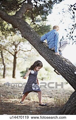 Children climbing trees outdoors View Large Photo Image Stock Photo - Children climbing trees outdoors. Fotosearch