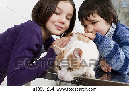 Children petting their cat View Large Photo Image Picture - Children petting their cat. Fotosearch