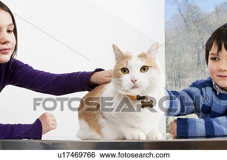 Children petting their cat View Large Photo Image Stock Photograph - Children petting their cat. Fotosearch