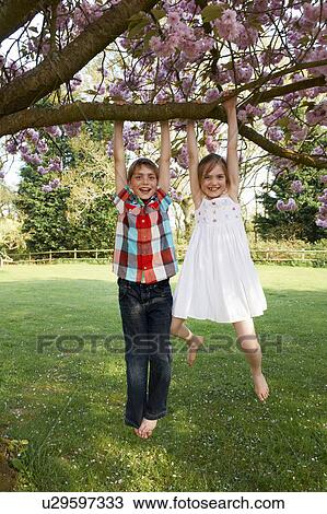 Children swinging from tree in backyard View Large Photo Image Stock Image - Children swinging from tree in backyard. Fotosearch