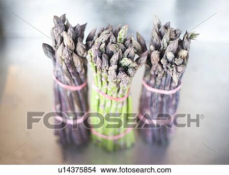 Close up of asparagus bunches View Large Photo Image Picture - Close up of asparagus bunches. Fotosearch