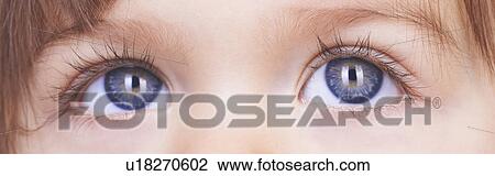 Close up of baby girl’s blue eyes View Large Photo Image Stock Image - Close up of baby girl’s blue eyes. Fotosearch