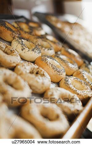 Close up of bagels in bakery View Large Photo Image Picture - Close up of bagels in bakery. Fotosearch