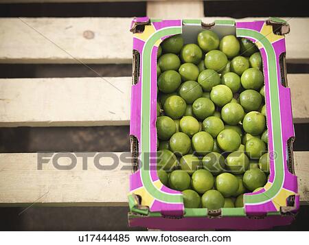 Close up of box of limes View Large Photo Image Stock Photography - Close up of box of limes. Fotosearch