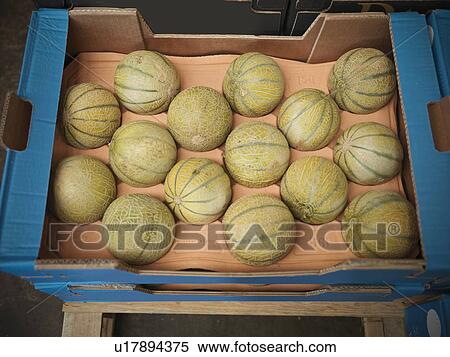 Close up of box of melons View Large Photo Image Stock Photography - Close up of box of melons. Fotosearch