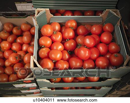 Close up of boxes of tomatoes View Large Photo Image Stock Image - Close up of boxes of tomatoes. Fotosearch