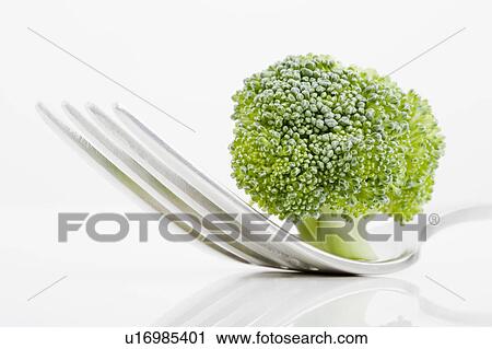 Stock Image - Close up of broccoli on fork. Fotosearch
