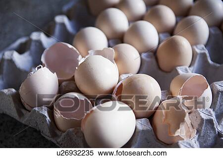 Stock Photography - Close up of eggshells in carton. Fotosearch