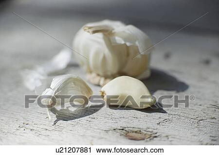 Close up of garlic clove View Large Photo Image Stock Image - Close up of garlic clove. Fotosearch