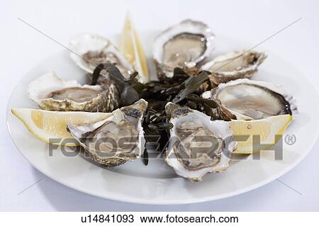 Close up of plate of oysters View Large Photo Image Stock Image - Close up of plate of oysters. Fotosearch