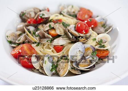 Close up of plate of shellfish pasta View Large Photo Image Stock Photograph - Close up of plate of shellfish pasta. Fotosearch