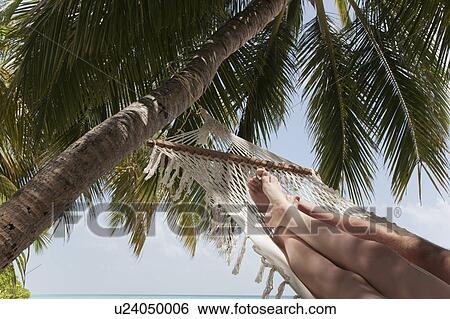 Stock Photograph - Couple laying in hammock under palm tree. Fotosearch