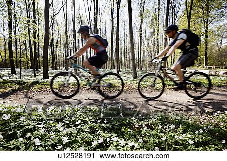 Stock Image - Couple mountain biking together. Fotosearch