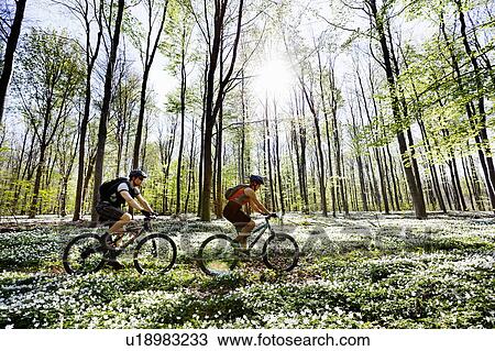 Couple mountain biking together View Large Photo Image Stock Image - Couple mountain biking together. Fotosearch