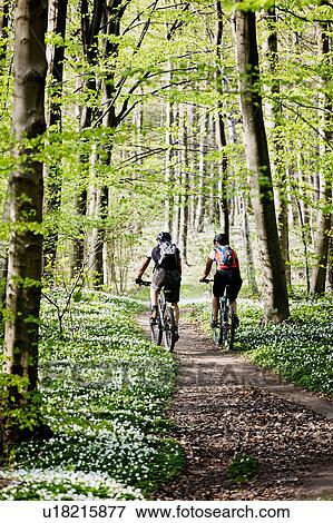 Couple mountain biking together View Large Photo Image Stock Photo - Couple mountain biking together. Fotosearch