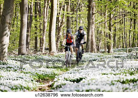 Couple mountain biking together View Large Photo Image Stock Photograph - Couple mountain biking together. Fotosearch