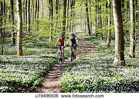 Stock Photograph - Couple mountain biking together. Fotosearch