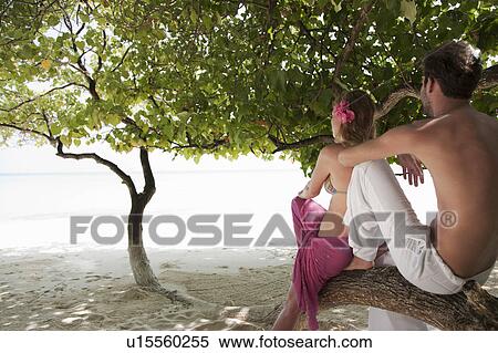Stock Photography - Couple sitting in tree at beach. Fotosearch