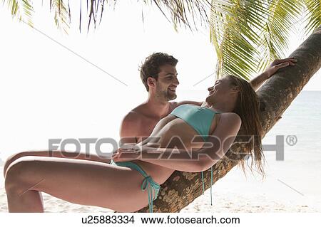 Picture - Couple talking under palm tree on beach. Fotosearch