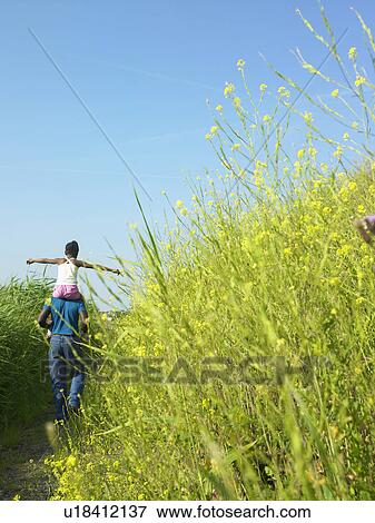 Daughter on father’s shoulders in field View Large Photo Image Stock Photo - Daughter on father’s shoulders in field. Fotosearch