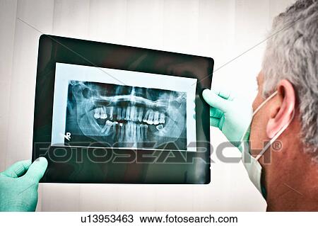 Dentist examining dental x-rays View Large Photo Image Stock Image - Dentist examining dental x-rays. Fotosearch