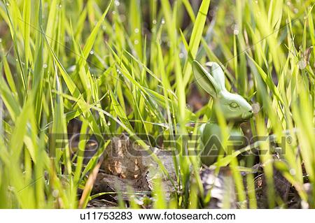 Easter bunny hidden in long grass View Large Photo Image Stock Image - Easter bunny hidden in long grass. Fotosearch