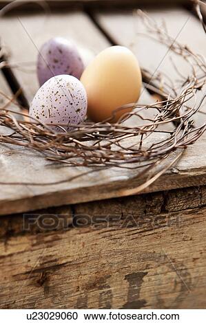 Eggs nestled in twig wreath View Large Photo Image Stock Image - Eggs nestled in twig wreath . Fotosearch