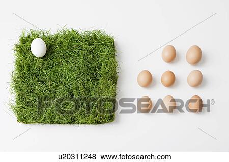 Stock Photo - Eggs with patch of grass. Fotosearch