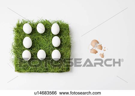 Stock Photograph - Eggs with patch of grass. Fotosearch