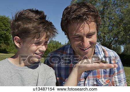 Picture - Father and son examining insect. Fotosearch