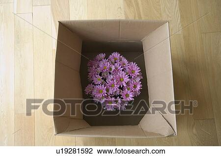 Flowers in cardboard box View Large Photo Image Stock Image - Flowers in cardboard box. Fotosearch