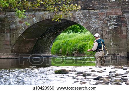 Stock Image - Fly fisherman casting a line in river. Fotosearch