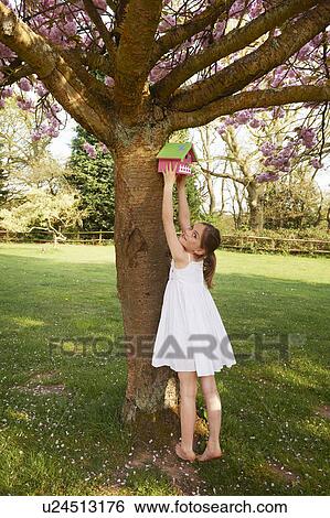 Girl hanging birdhouse in tree View Large Photo Image Stock Photograph - Girl hanging birdhouse in tree. Fotosearch