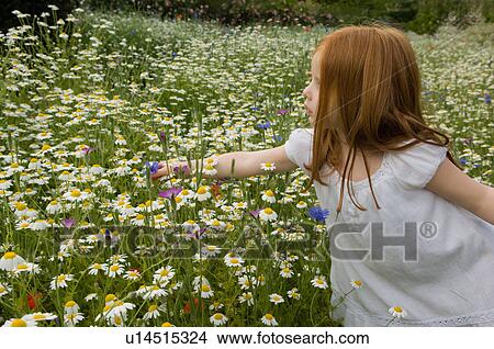 Picture - Girl picking flowers in field. Fotosearch