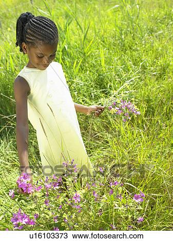 Girl picking flowers in field View Large Photo Image Stock Image - Girl picking flowers in field. Fotosearch