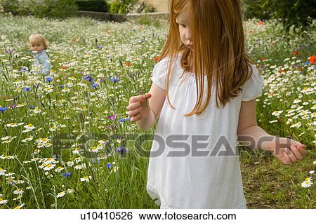 Girl picking flowers in field View Large Photo Image Stock Photograph - Girl picking flowers in field. Fotosearch