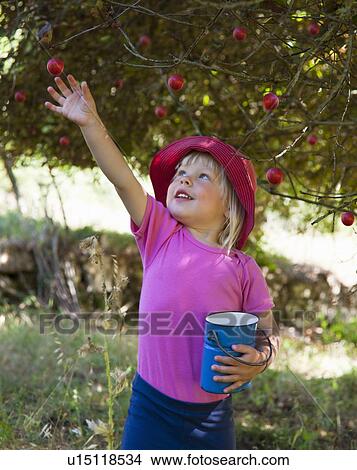 Picture - Girl picking wild plums outdoors. Fotosearch